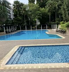 Tanglin Park (D10), Condominium #575735241